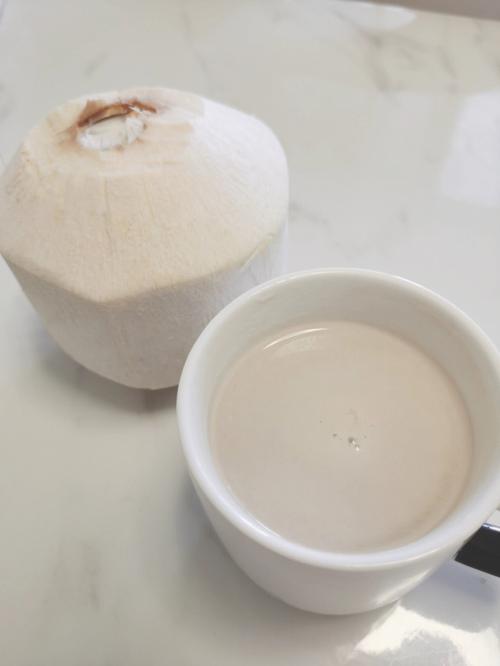 纯正的椰子奶做法 