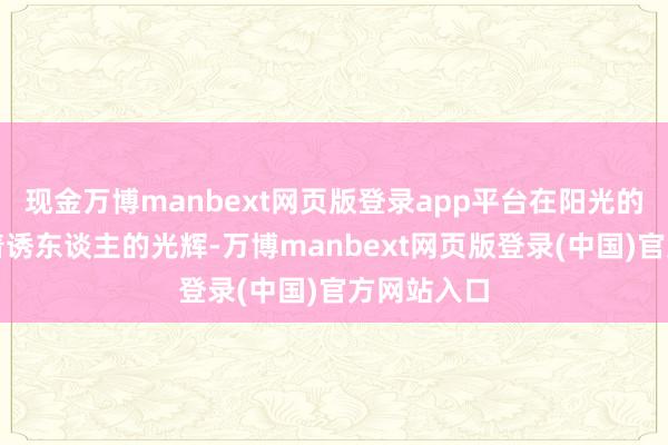 现金万博manbext网页版登录app平台在阳光的照射下泛着诱东谈主的光辉-万博manbext网页版登录(中国)官方网站入口